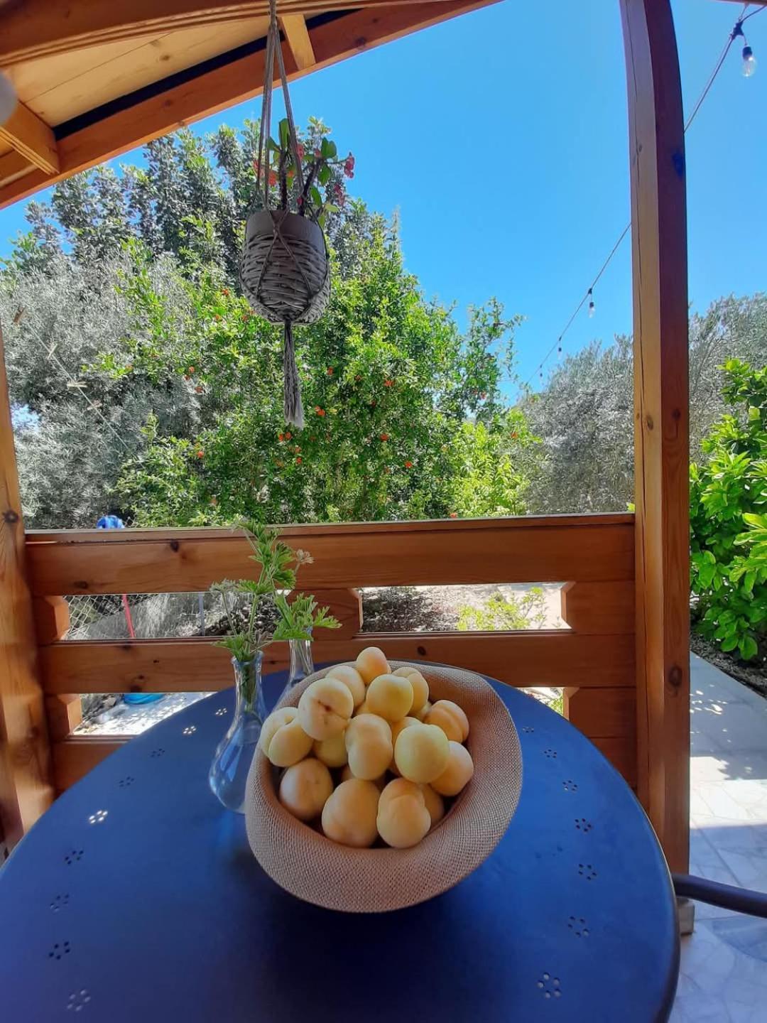 Happy Glamping Cy Villa Agios Theodoros Buitenkant foto