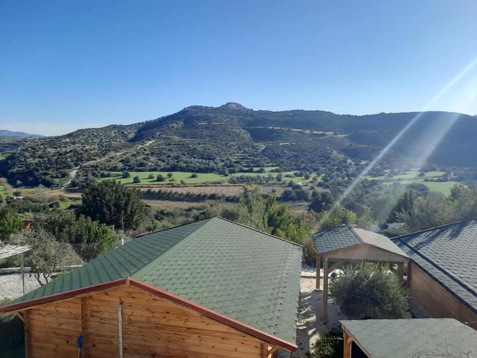 Happy Glamping Cy Villa Agios Theodoros Buitenkant foto
